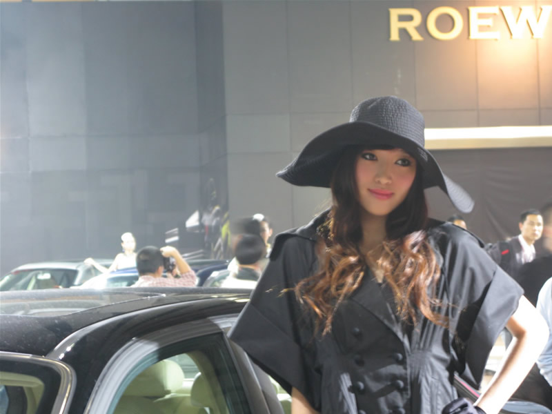 Illustration for article titled The Booth Professionals of the 2008 Guangzhou International Auto Show